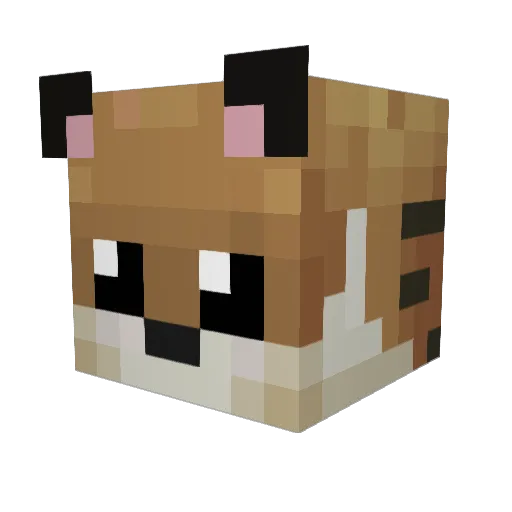 Ohcat Minecraft avatar head, 3D render