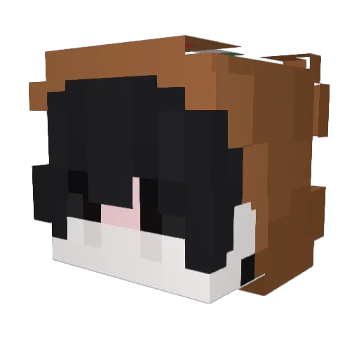 Ohdaiwsy Minecraft avatar head, 3D render