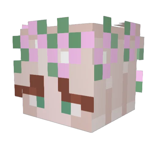 OhhEyleen Minecraft avatar head, 3D render
