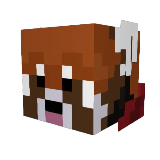 OhheyitsQuin Minecraft avatar head, 3D render