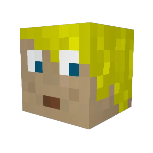 OhioEisvogel743 Minecraft avatar head, 3D render