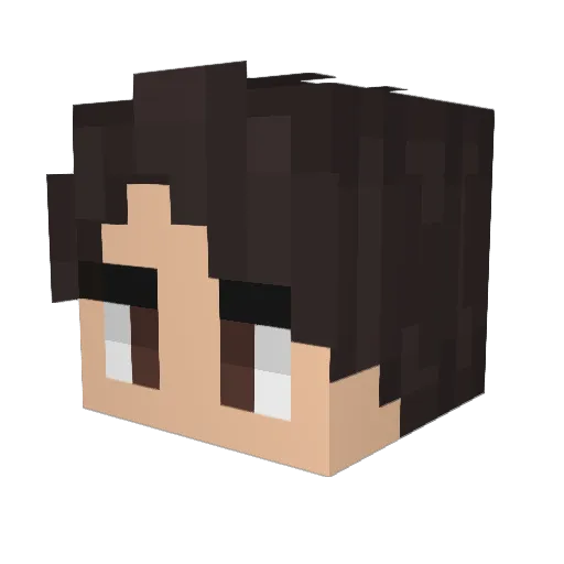 OhioInOhio Minecraft avatar head, 3D render