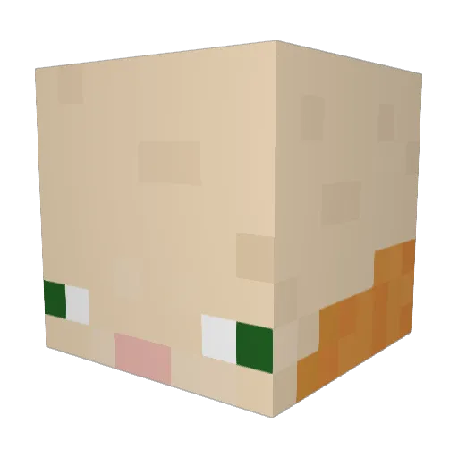 OhioMaus108 Minecraft avatar head, 3D render