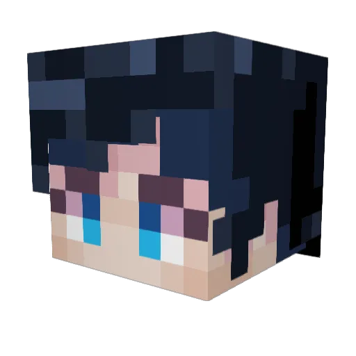 Ohiosigmarizz44 Minecraft avatar head, 3D render