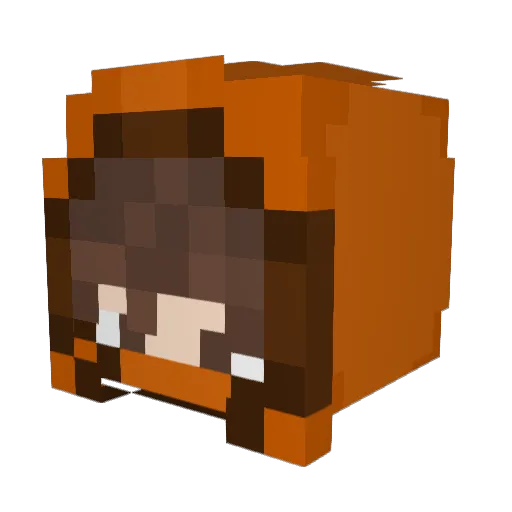 Ohlogicsz Minecraft avatar head, 3D render