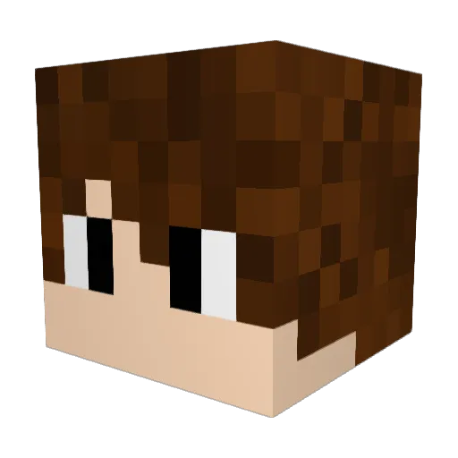 Ohmariusz Minecraft avatar head, 3D render