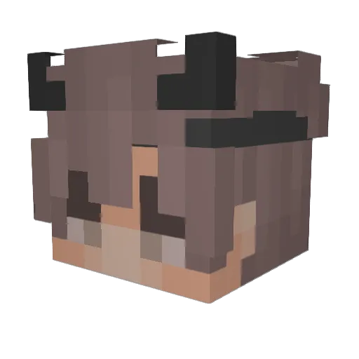 OhmicRes Minecraft avatar head, 3D render