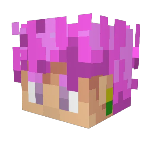 Ohmmiii Minecraft avatar head, 3D render