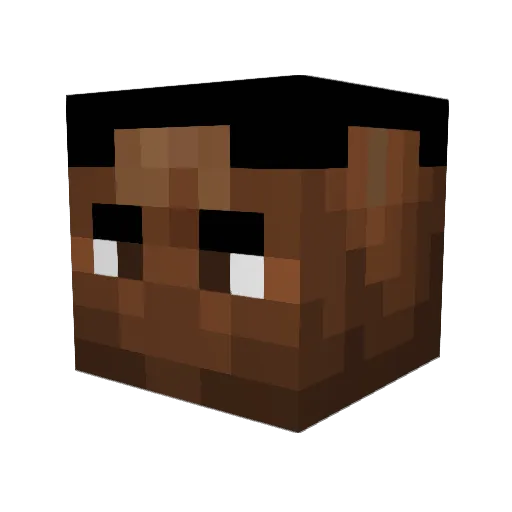 Ohmz505 Minecraft avatar head, 3D render