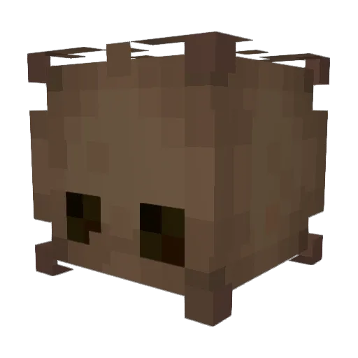 OhnivaZena Minecraft avatar head, 3D render