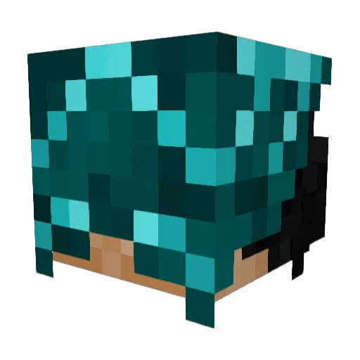 Ohp_888 Minecraft avatar head, 3D render