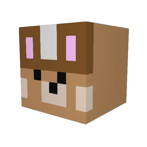 Ohritaek Minecraft avatar head, 3D render