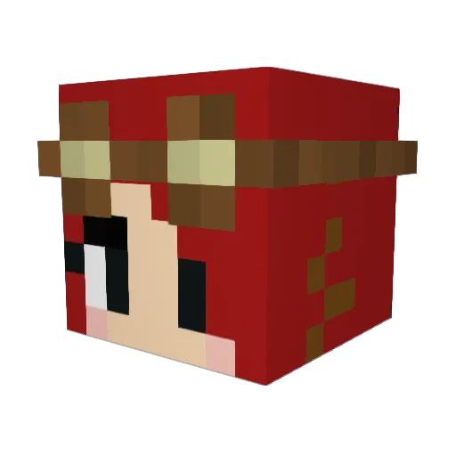 Ohscrewthename11 Minecraft avatar head, 3D render