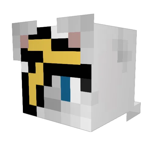 Ohyasucat Minecraft avatar head, 3D render