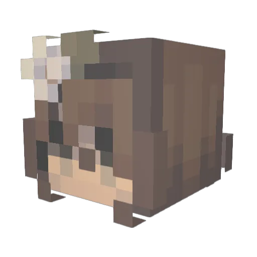 Oibruv_gimmetea Minecraft avatar head, 3D render