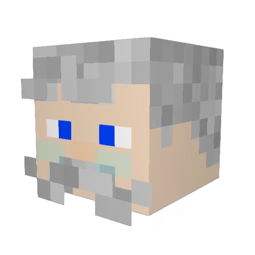 Oignon11 Minecraft avatar head, 3D render