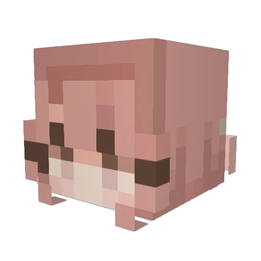Oijiki Minecraft avatar head, 3D render