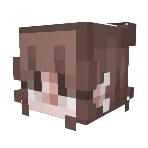 Oikster Minecraft avatar head, 3D render