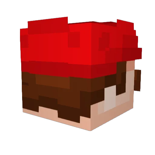 Oin124 Minecraft avatar head, 3D render