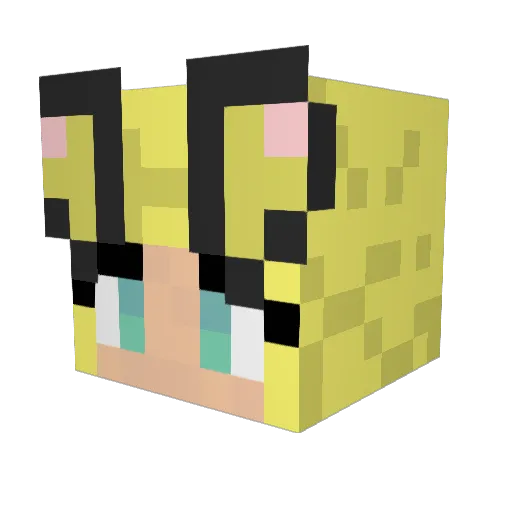 Oingo_Boingo222 Minecraft avatar head, 3D render