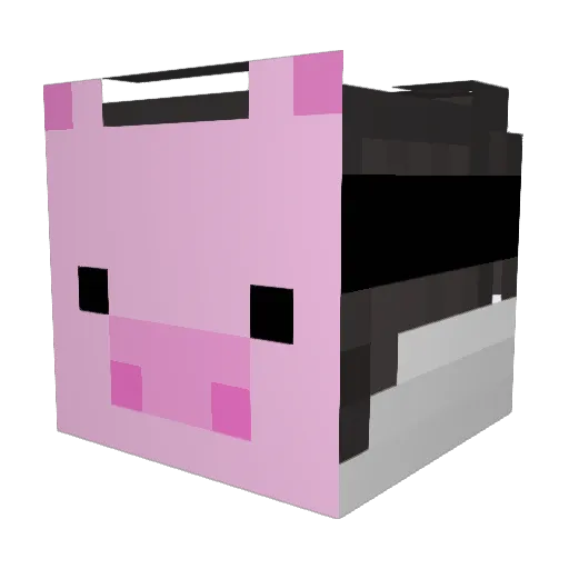 Oink0inkpig Minecraft avatar head, 3D render