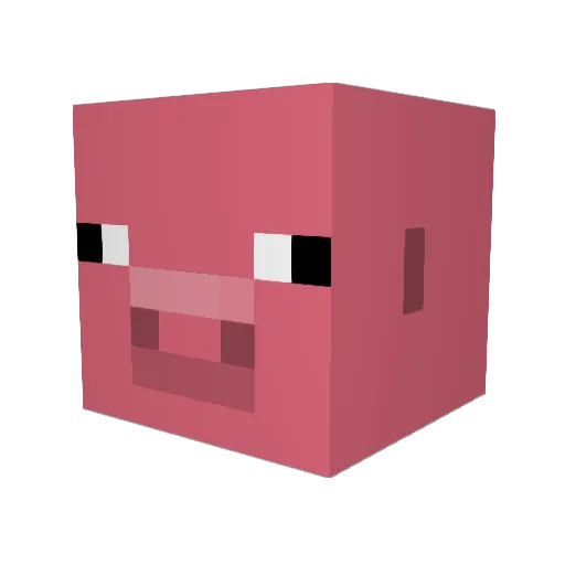 OinkeTime Minecraft avatar head, 3D render