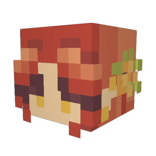 Oinkoink8599 Minecraft avatar head, 3D render