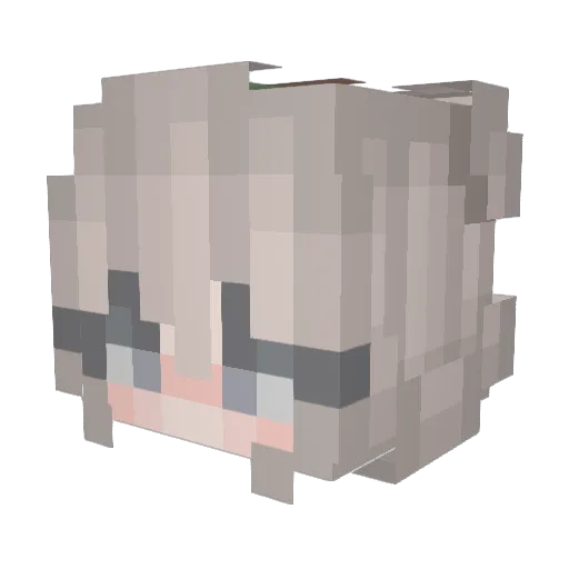 Oinktheworld Minecraft avatar head, 3D render