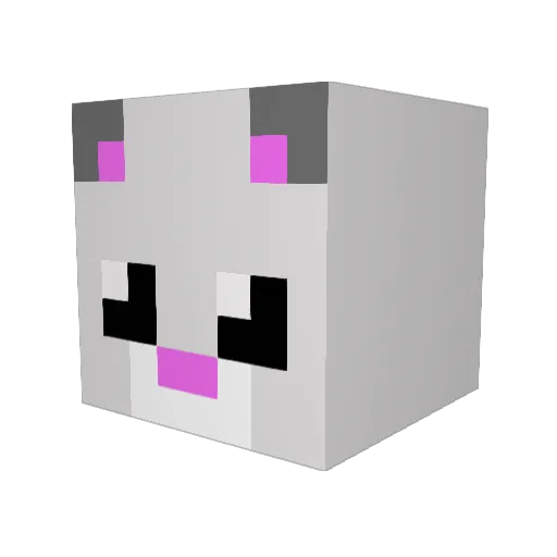 Oiraesesse Minecraft avatar head, 3D render
