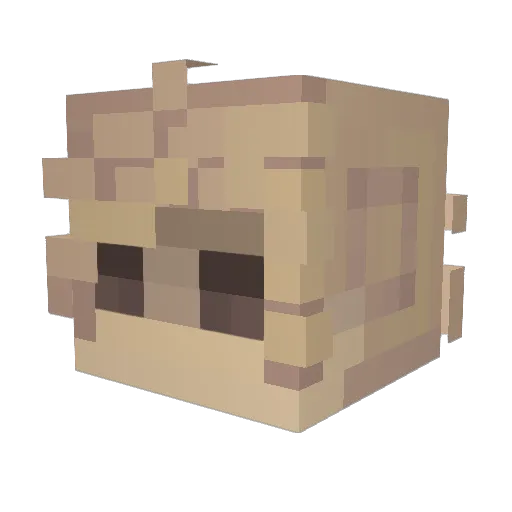 OishiiBean Minecraft avatar head, 3D render
