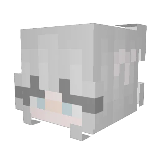 OkBahVoila Minecraft avatar head, 3D render