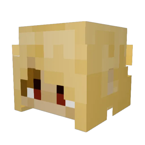 Oka213 Minecraft avatar head, 3D render