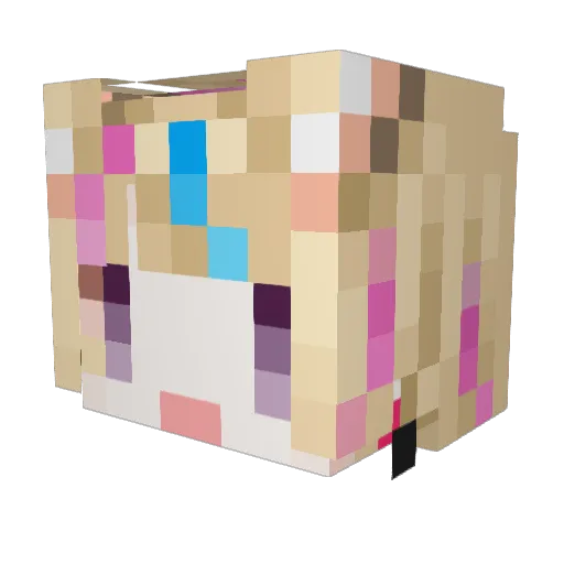 Okami_Sturmbrau Minecraft avatar head, 3D render