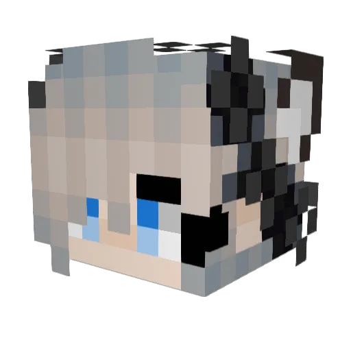 Okamii20 Minecraft avatar head, 3D render