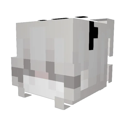 Okawof Minecraft avatar head, 3D render