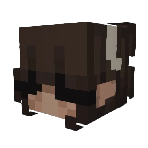 OkayMorality Minecraft avatar head, 3D render