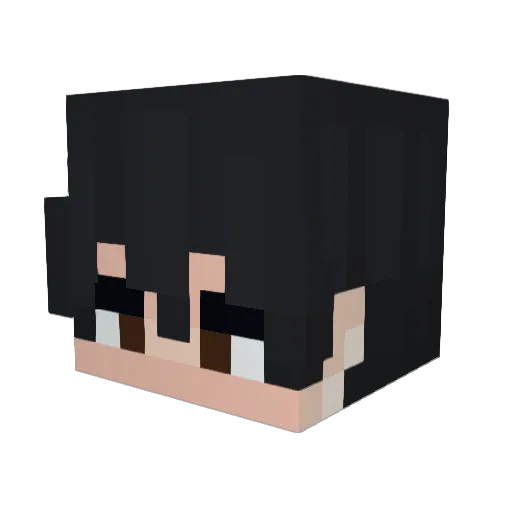 Okay_0 Minecraft avatar head, 3D render