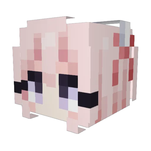 Okbunny11 Minecraft avatar head, 3D render