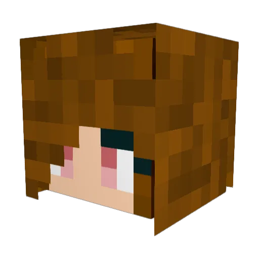 Okepoke Minecraft avatar head, 3D render