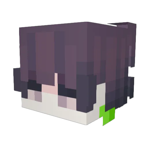 OkinaPe Minecraft avatar head, 3D render