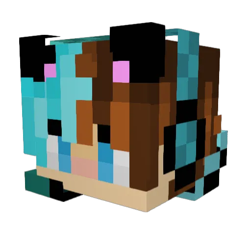 Okls_ Minecraft avatar head, 3D render
