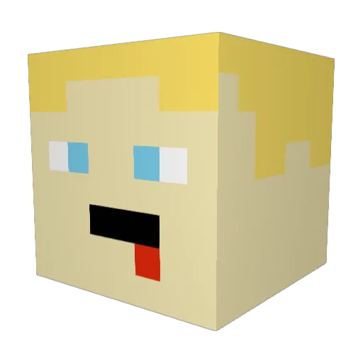 Okti04 Minecraft avatar head, 3D render