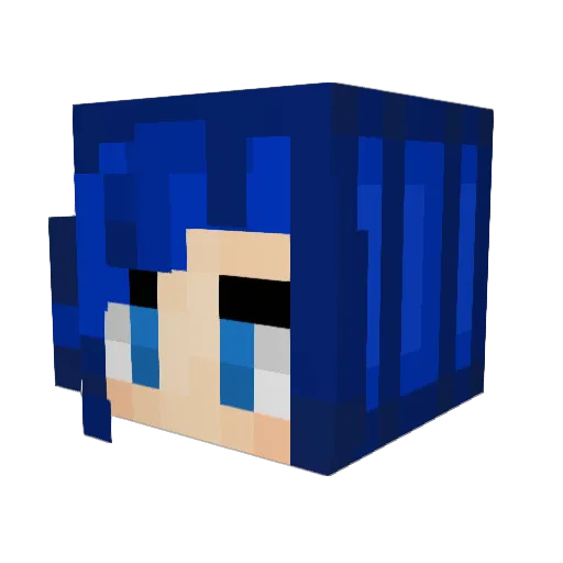 Oktopica Minecraft avatar head, 3D render