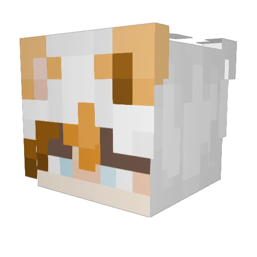 Oktoplushi Minecraft avatar head, 3D render