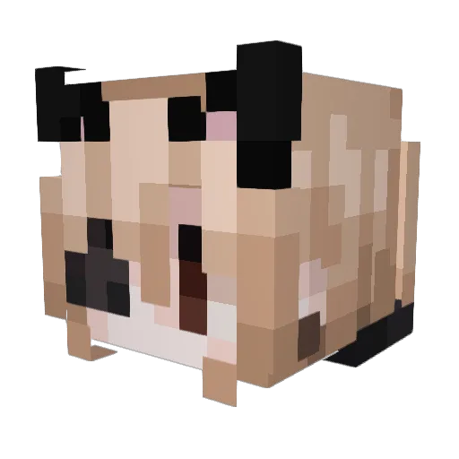 Okturio Minecraft avatar head, 3D render
