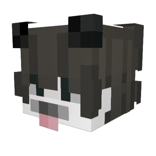 Oktus Minecraft avatar head, 3D render