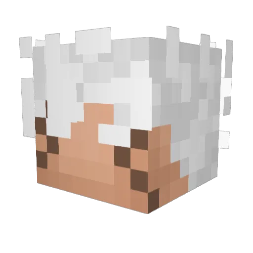 Okyhi Minecraft avatar head, 3D render