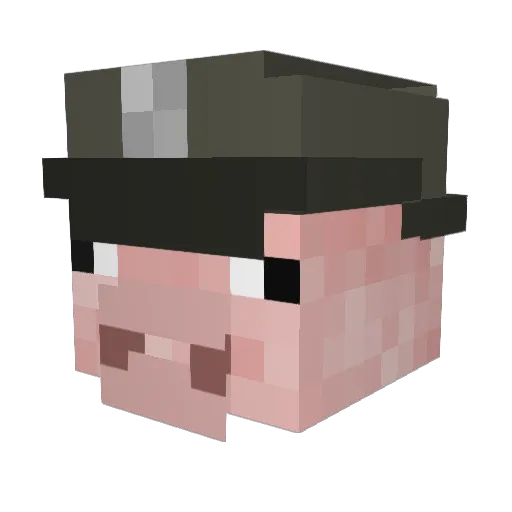Ol_Hickory_Ham Minecraft avatar head, 3D render