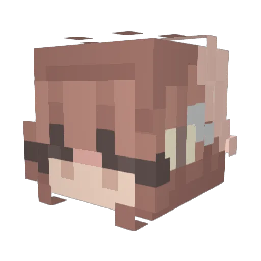 Ol_a Minecraft avatar head, 3D render