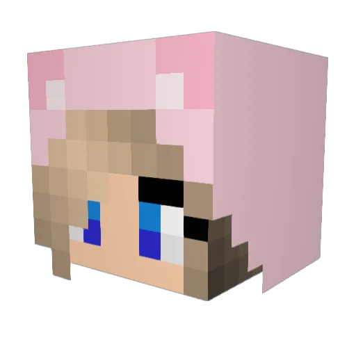 Ola5734 Minecraft avatar head, 3D render